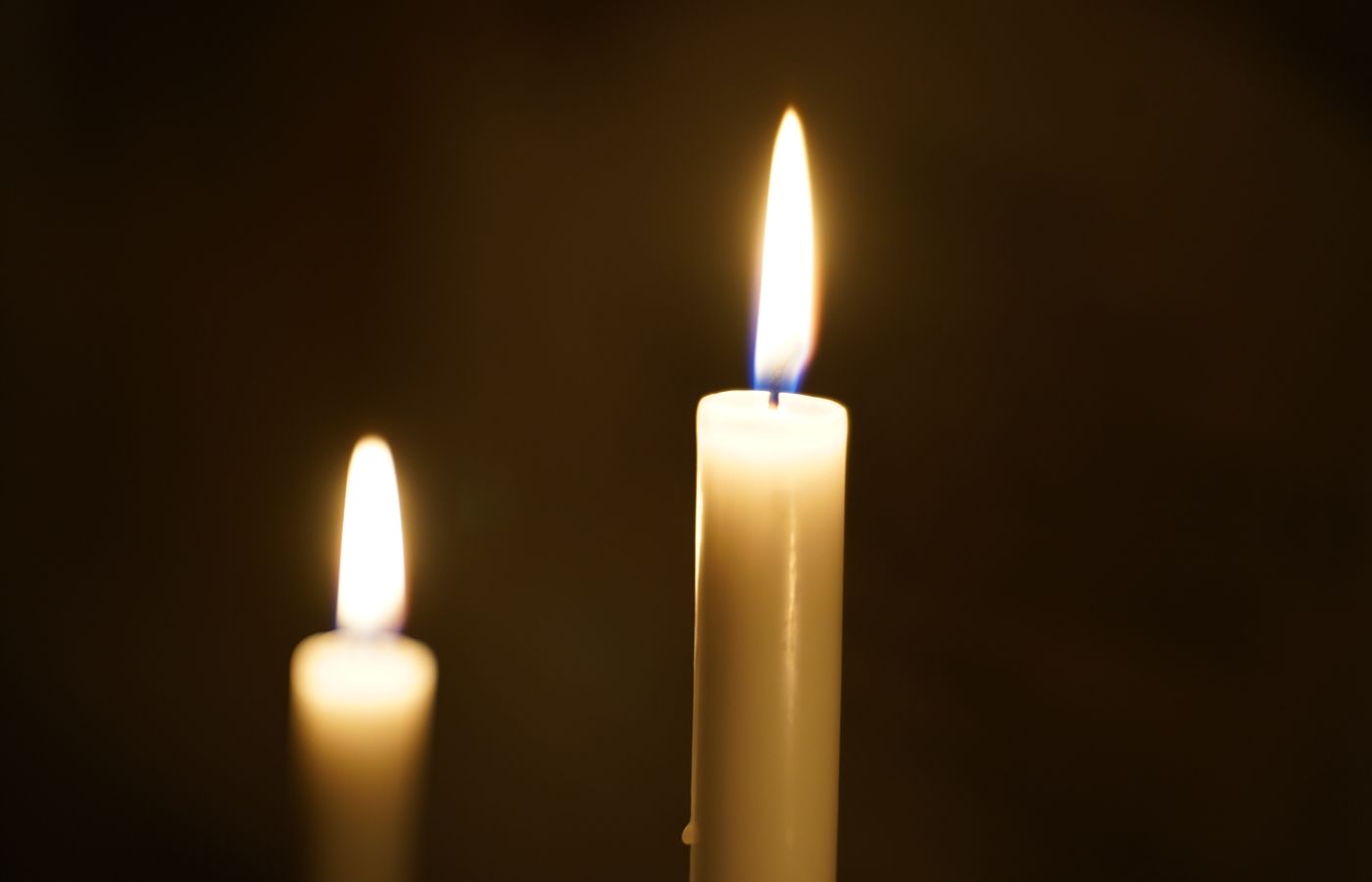 Fragrance Oil for Soy Candles (Strong Hot Throw)