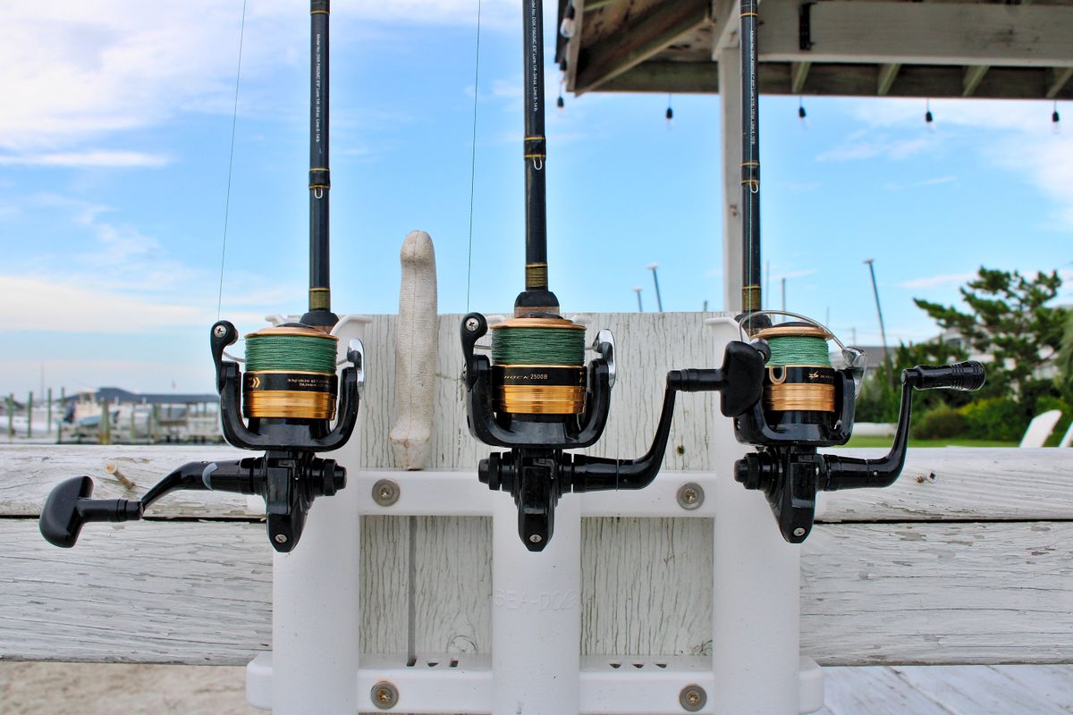 Daiwa Tatula SV TW vs Shimano Curado DC