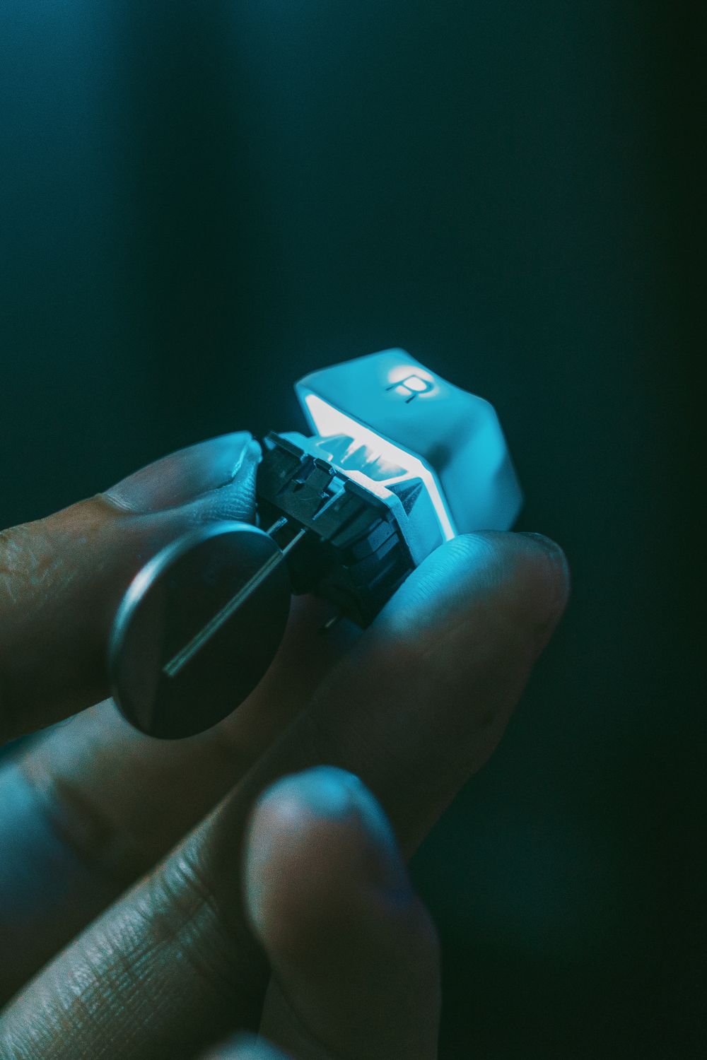 O-Rings for a Mechanical Keyboard
