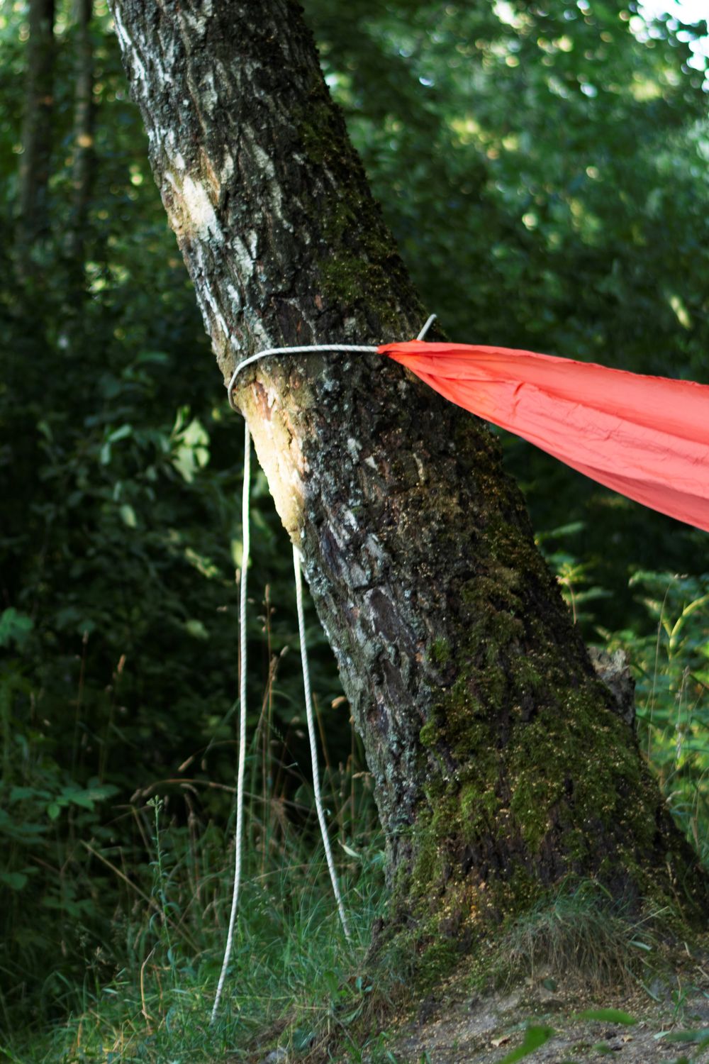 Hammock Straps for Backpacking