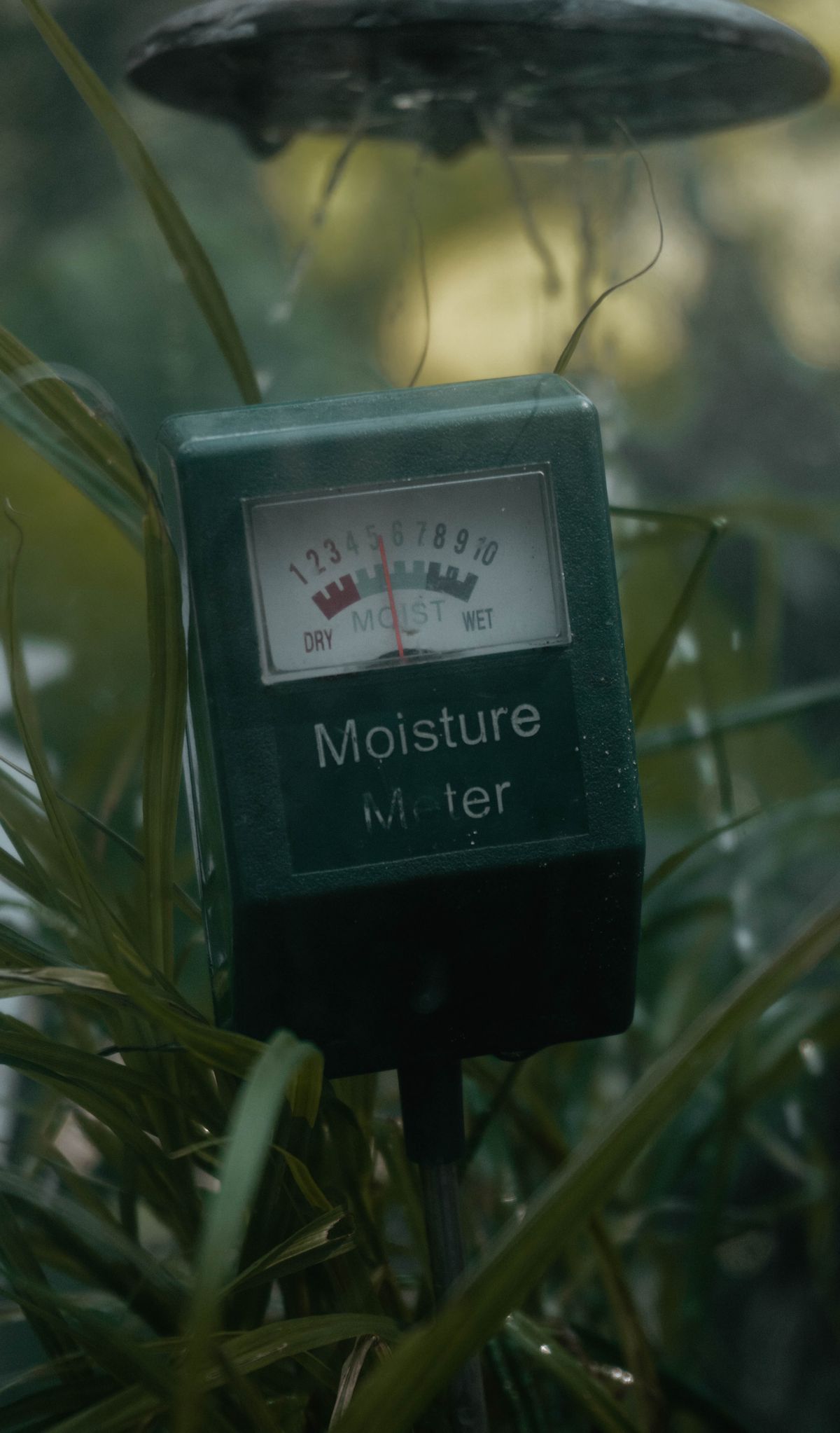 Moisture Meter for Plants