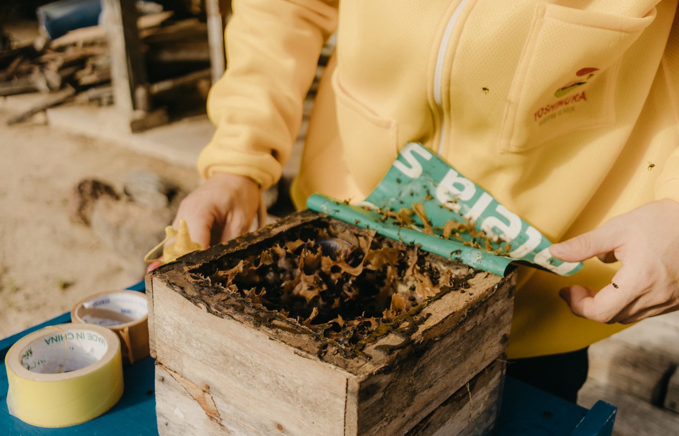 Oxalic Acid Vaporizer for Beehives