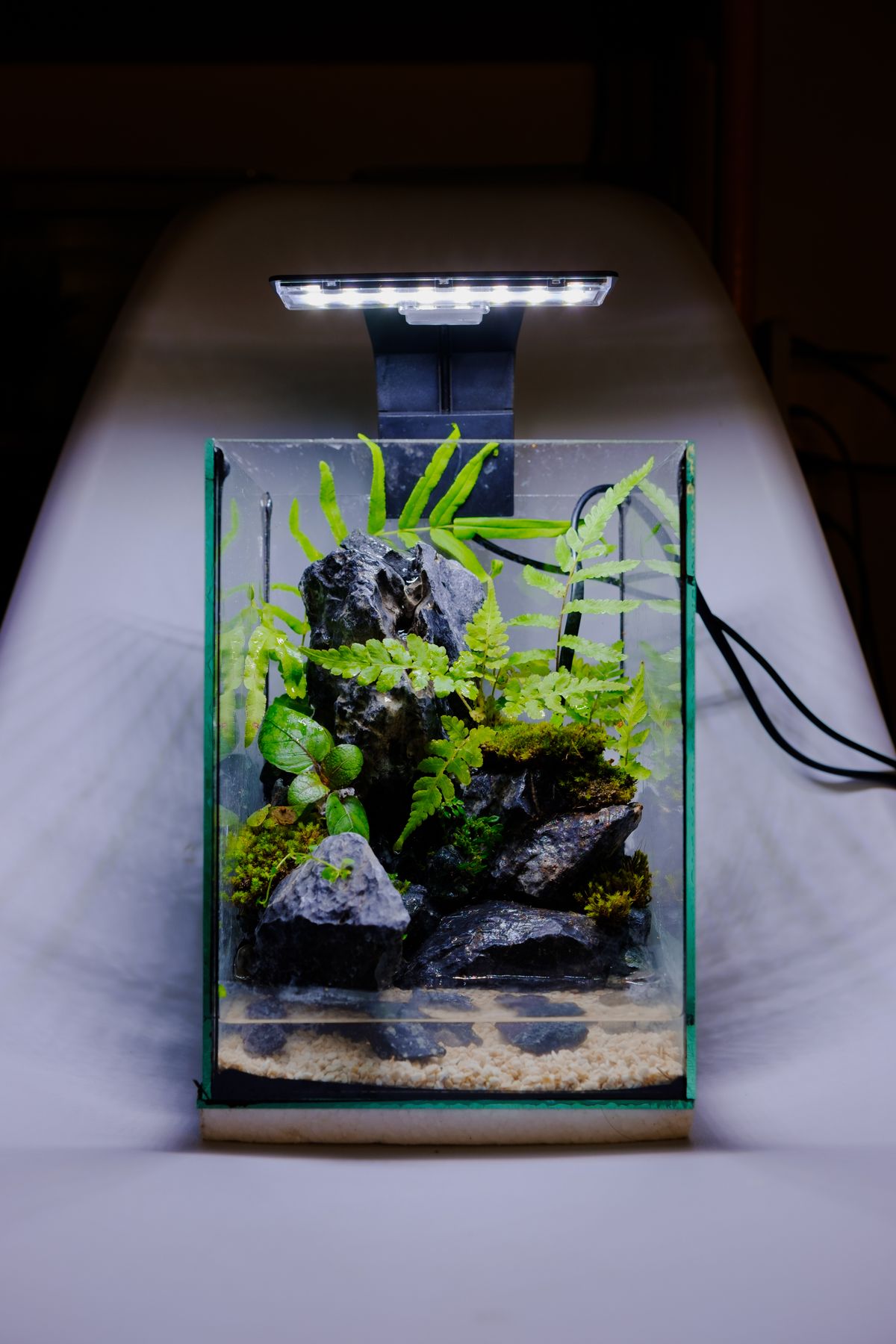Powerhead for a Planted Aquarium