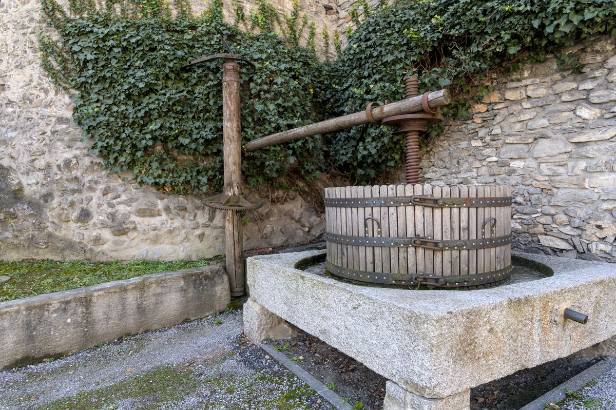 Fruit Press for Small Batch Cider Making