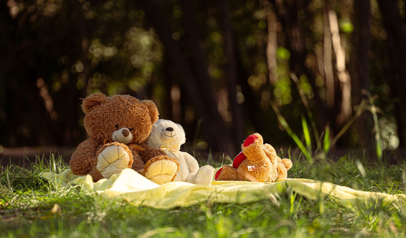 Weighted Stuffed Animal