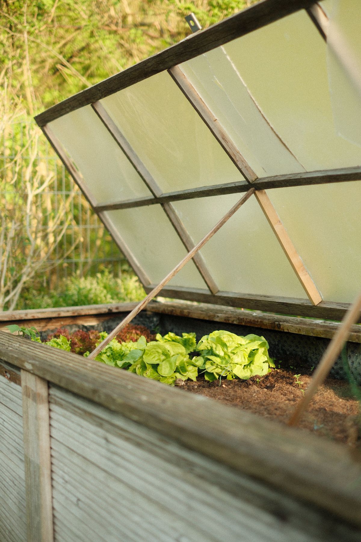 Raised Garden Bed for Vegetables