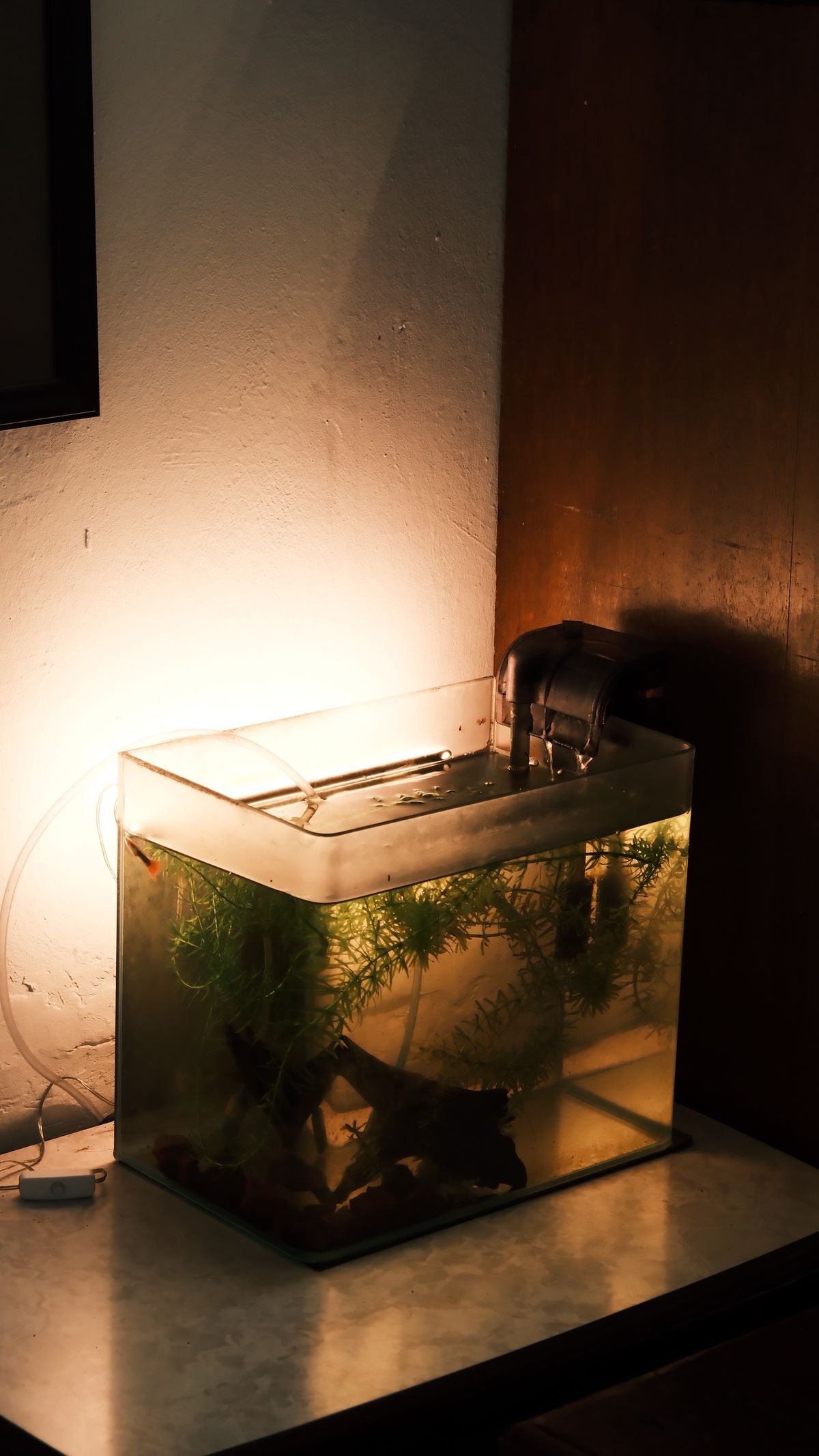 Auto Top Off System for a Nano Tank