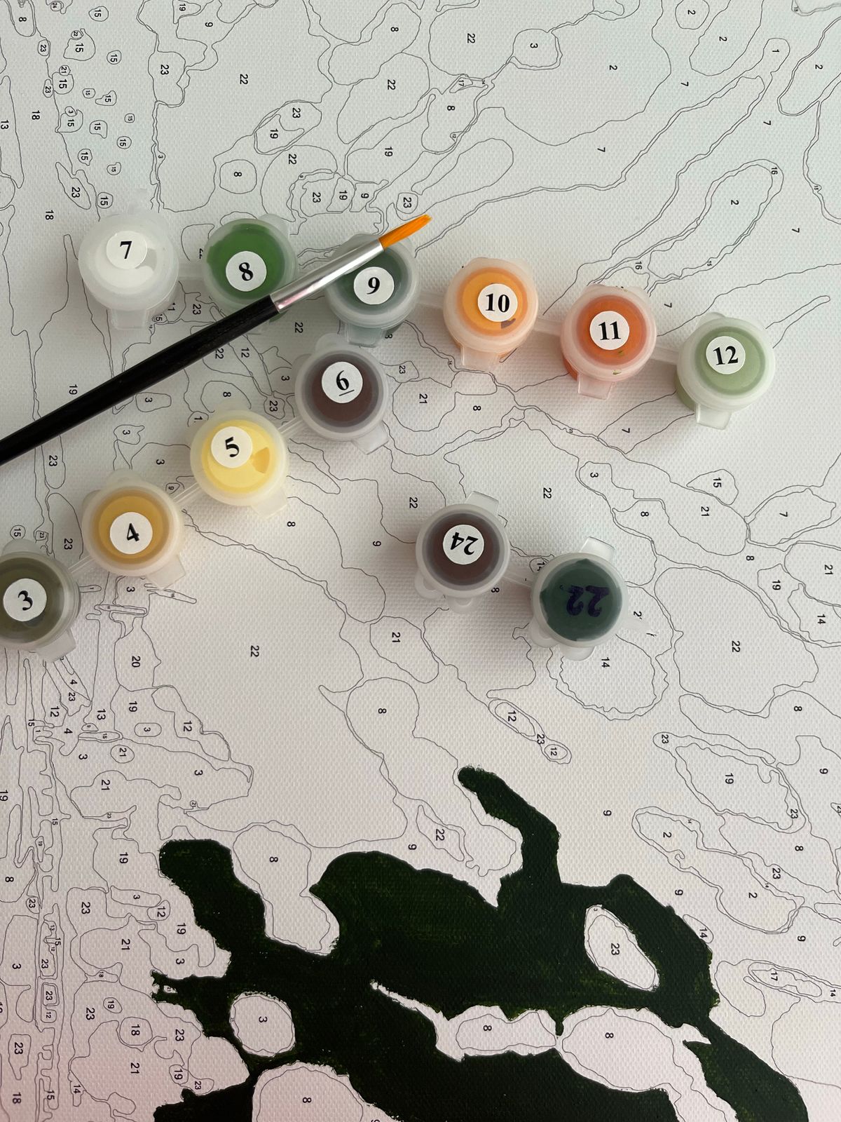 Paint by Numbers Kit for Adults