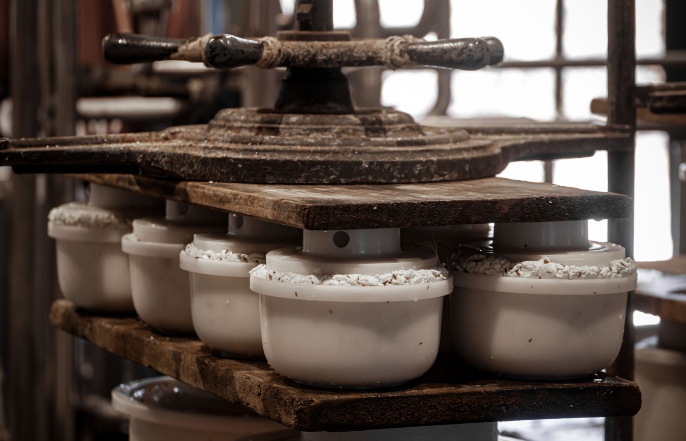 Cheese Press for Hard Cheese
