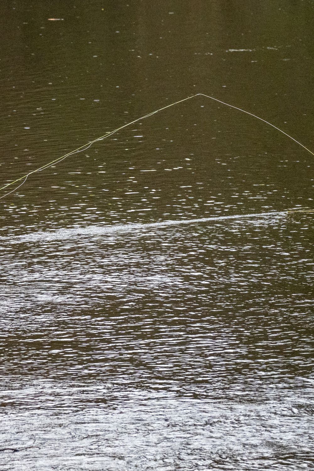 Tippet Material for Trout Fly Fishing