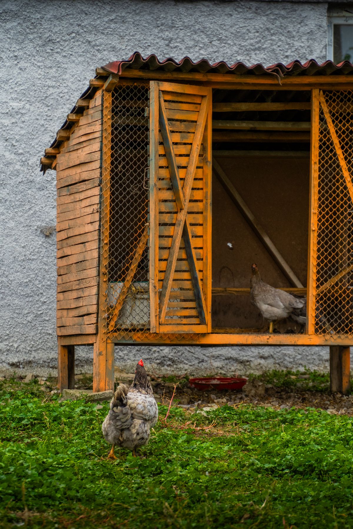 Automatic Door for a Chicken Coop