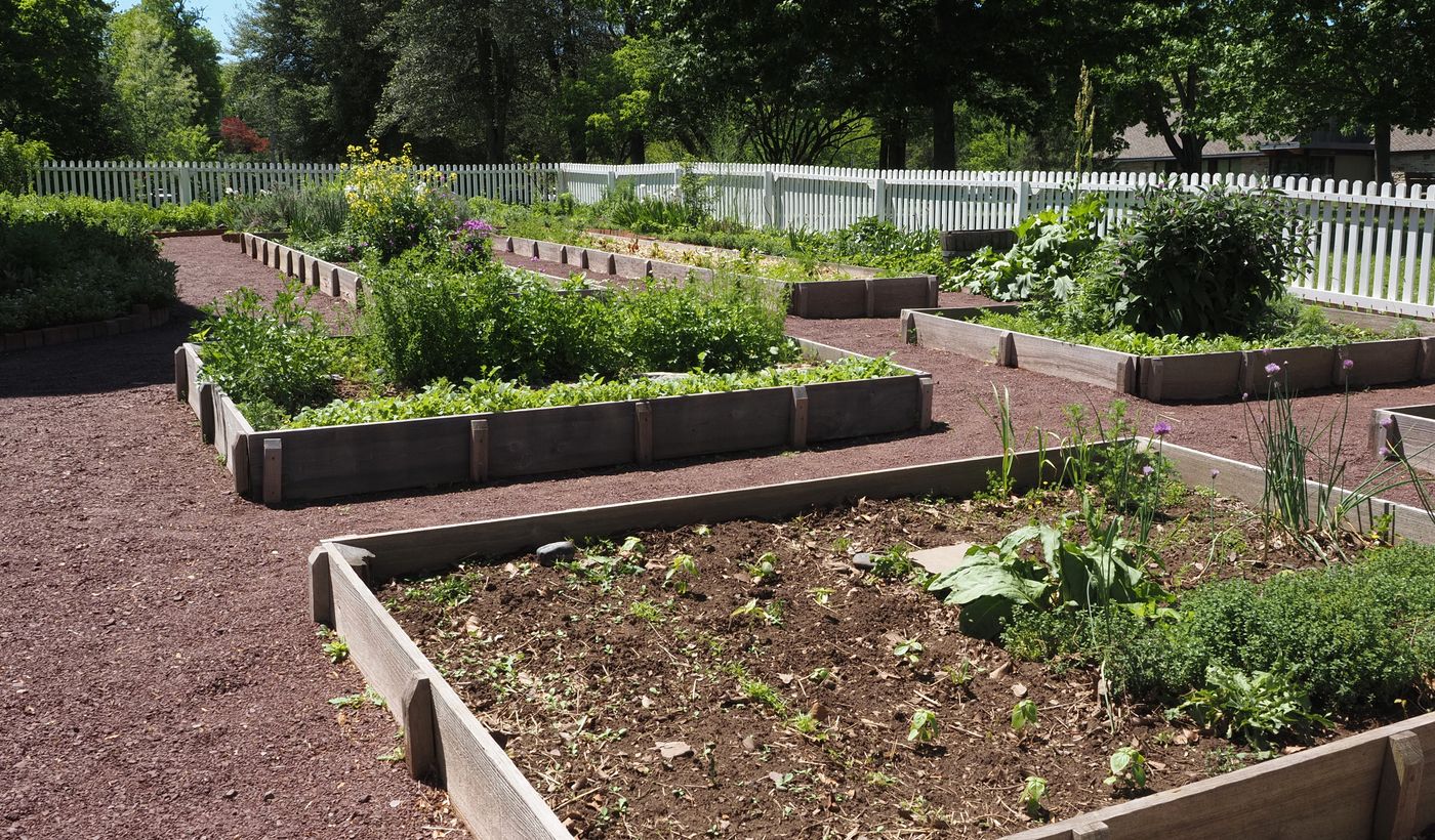 Raised Garden Bed