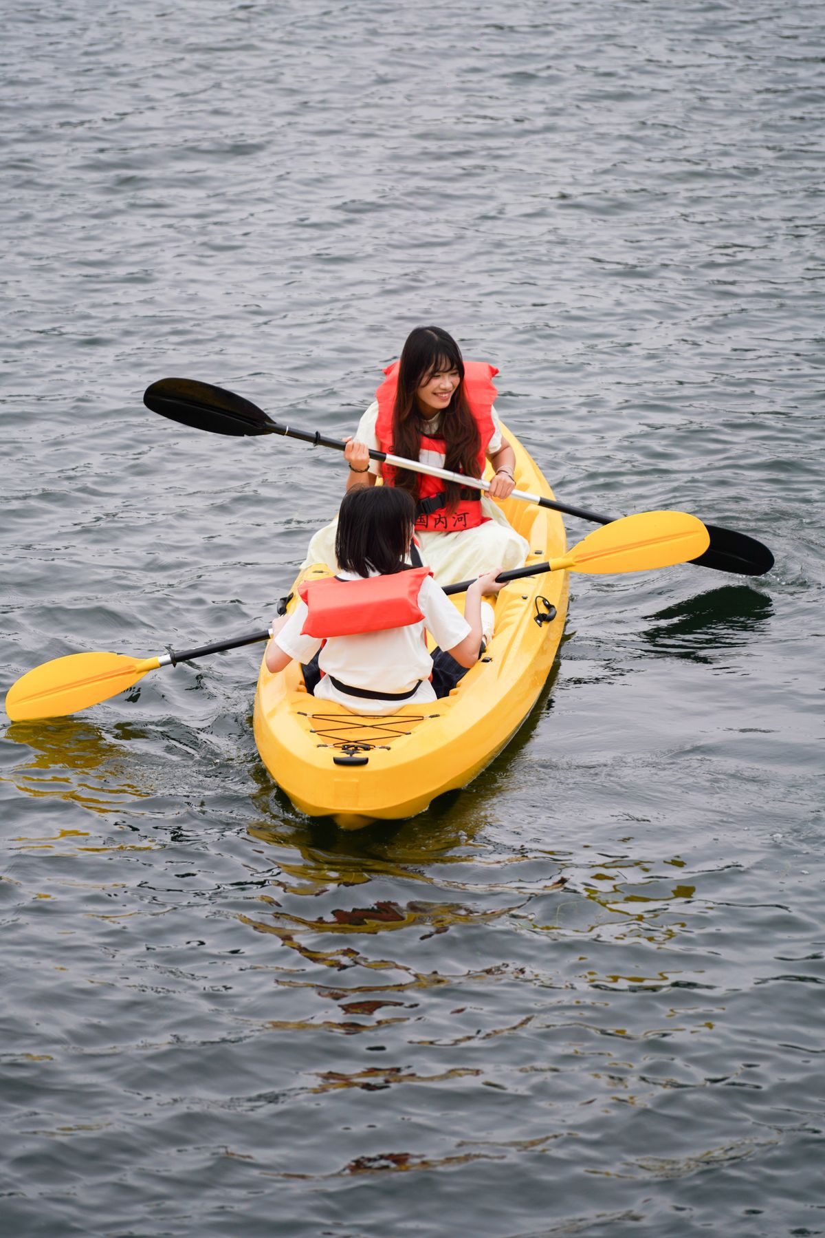 Carbon Fiber Kayak Paddle for the Money