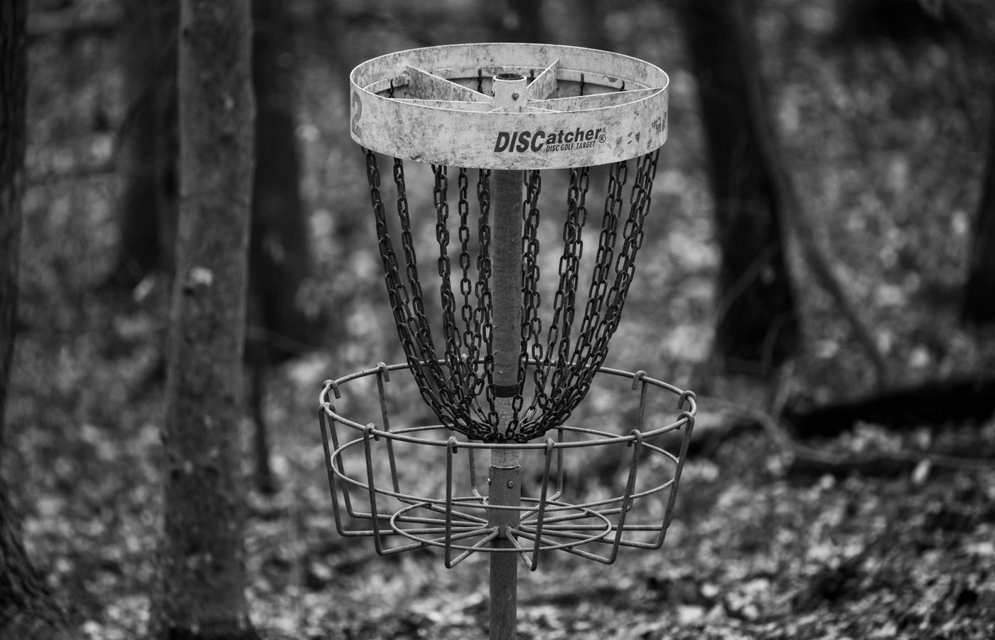 Putter for Windy Conditions in Disc Golf