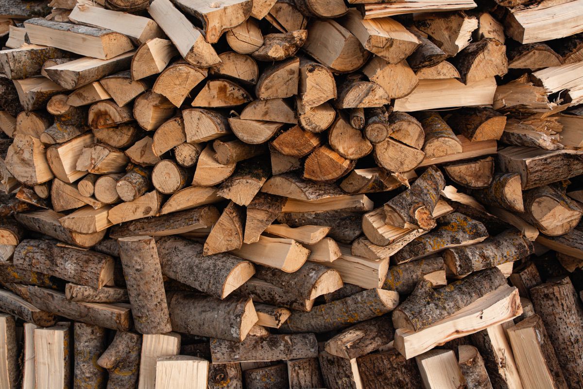 Moisture Meter for Firewood