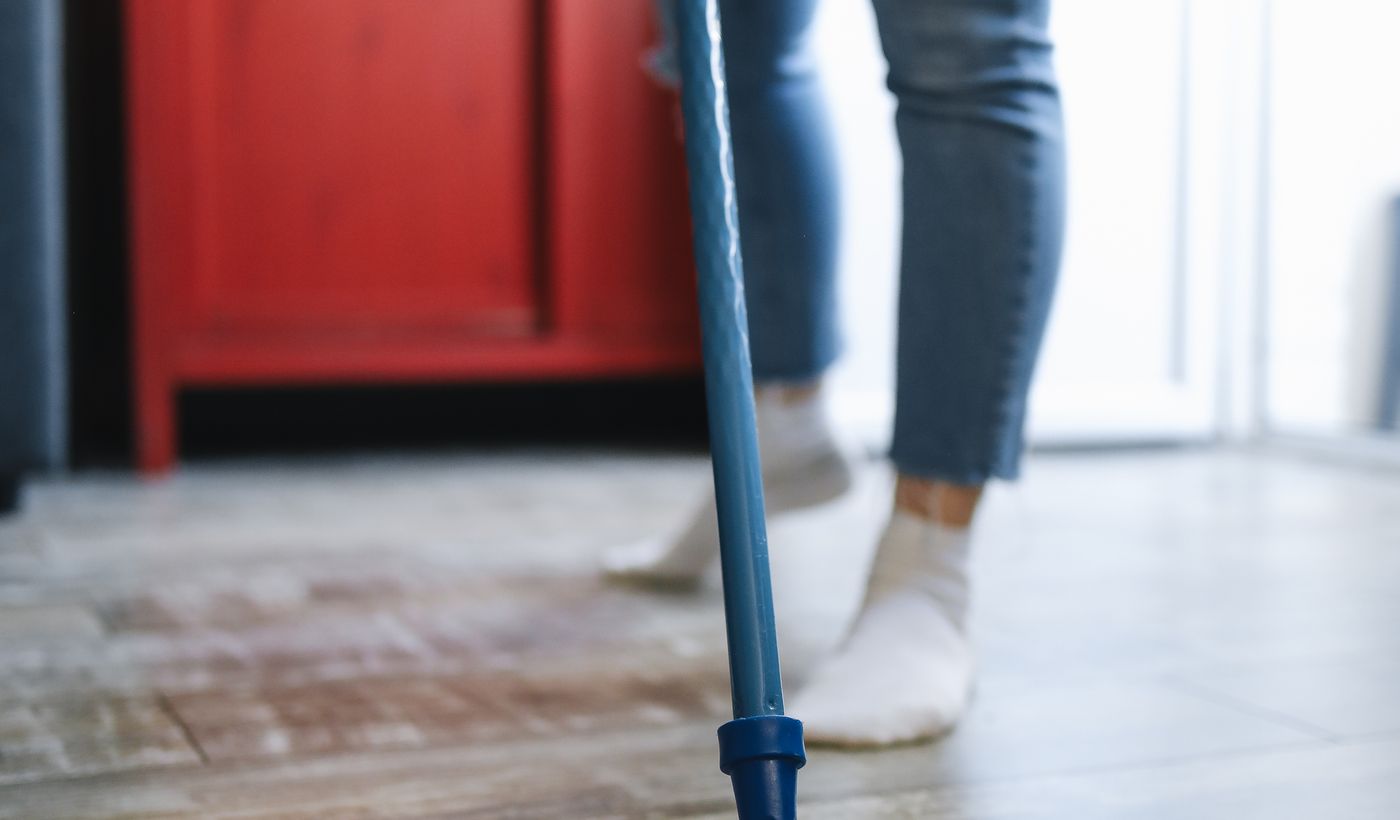 Steam Mop