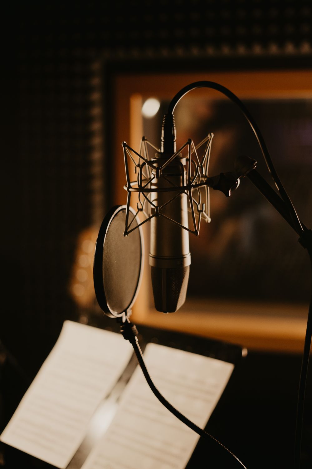 XLR Cable for Home Studio Vocal Recording