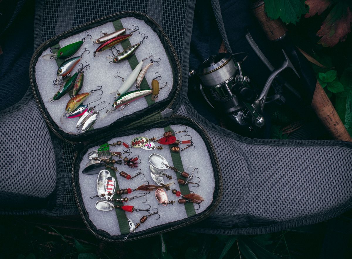 Baitcasting Reel for an Alabama Rig