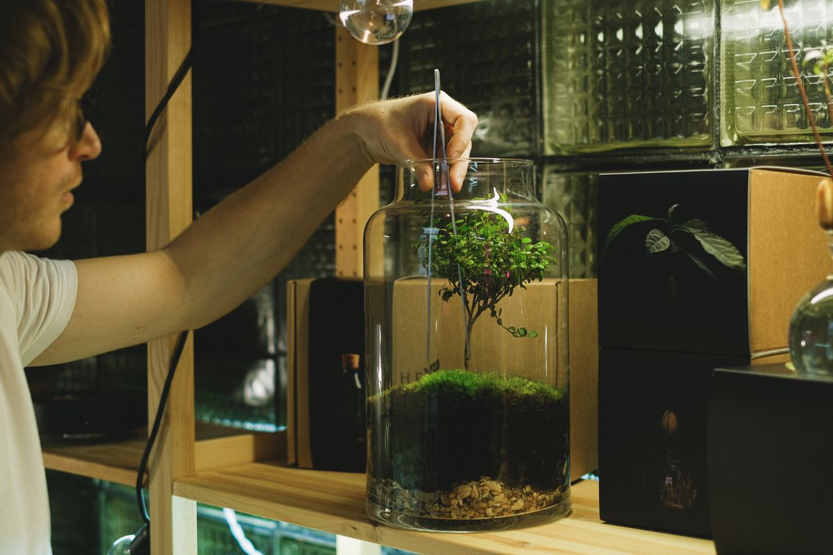Aquascaping Tool Kit for Beginners