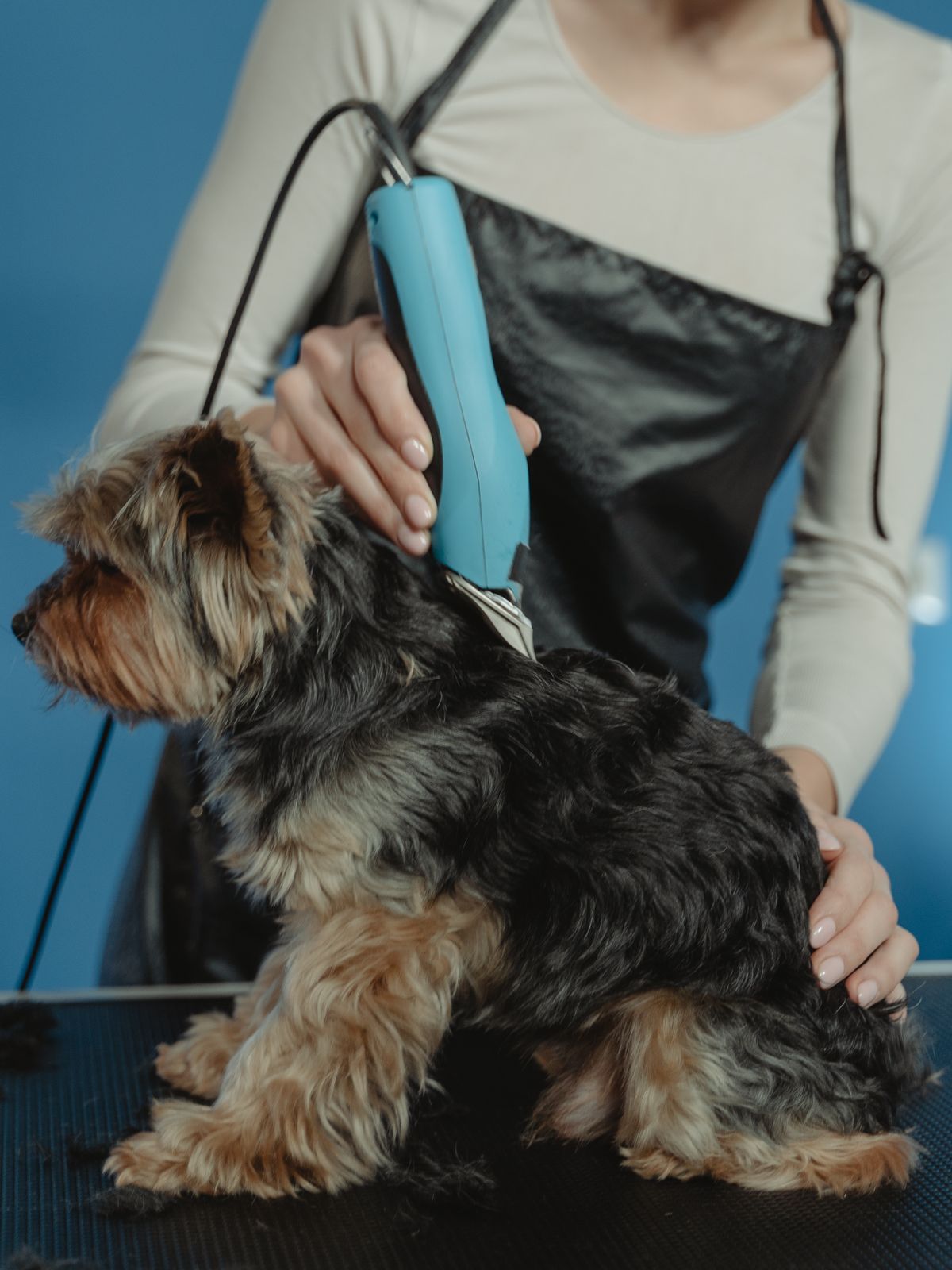 Dog Clippers for Grooming