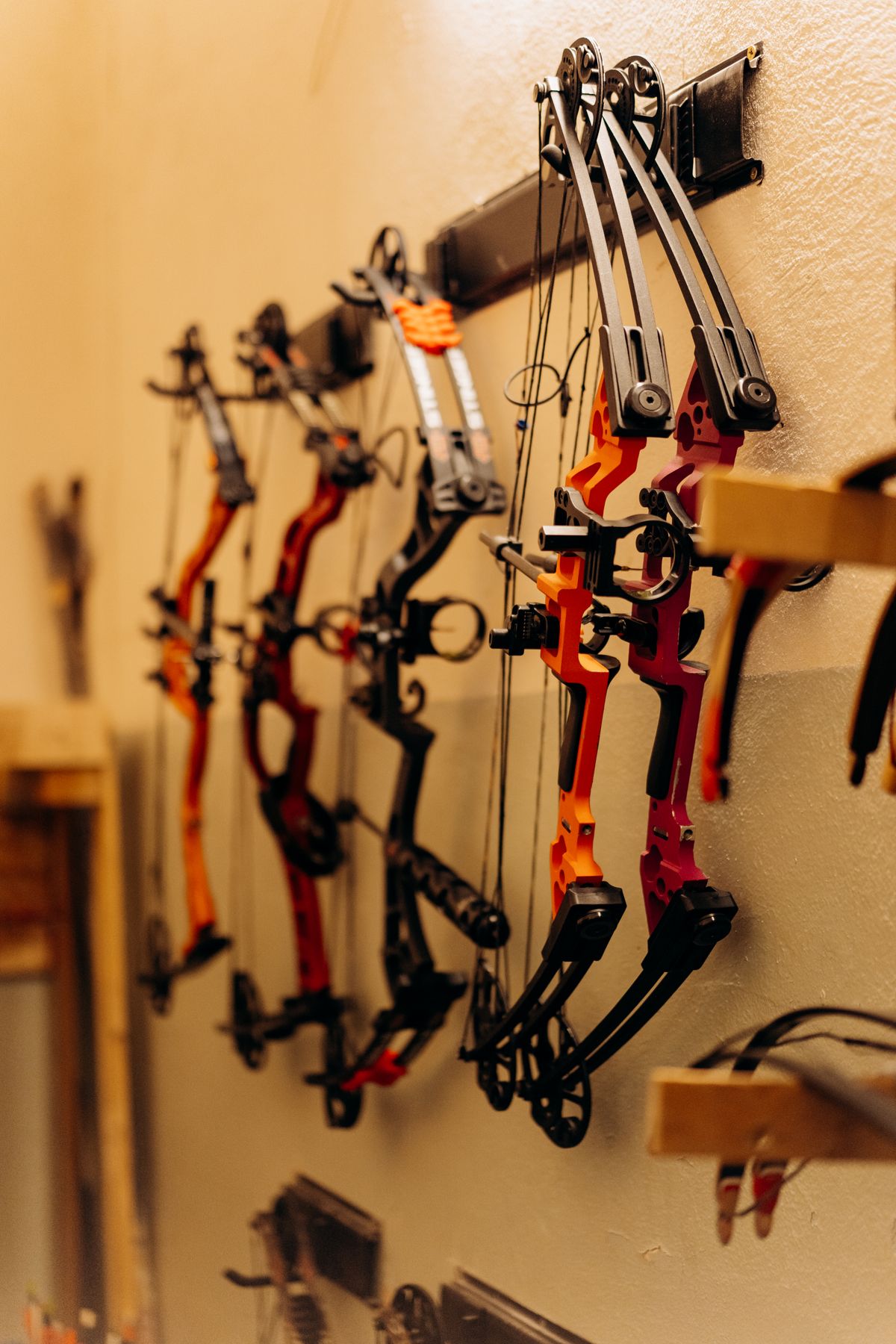 Bow Sight Under $100