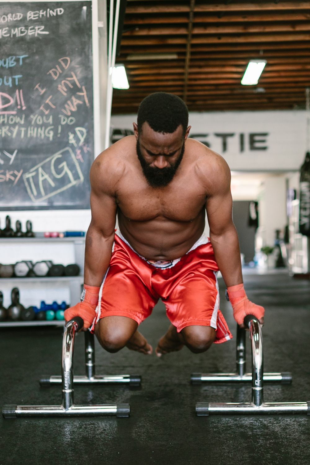 Dip Belt for Weighted Pull-Ups and Dips