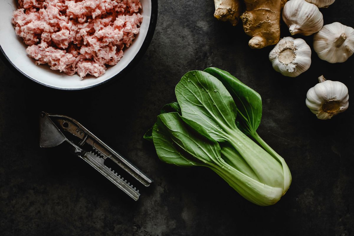 Meat Grinder for Home Use