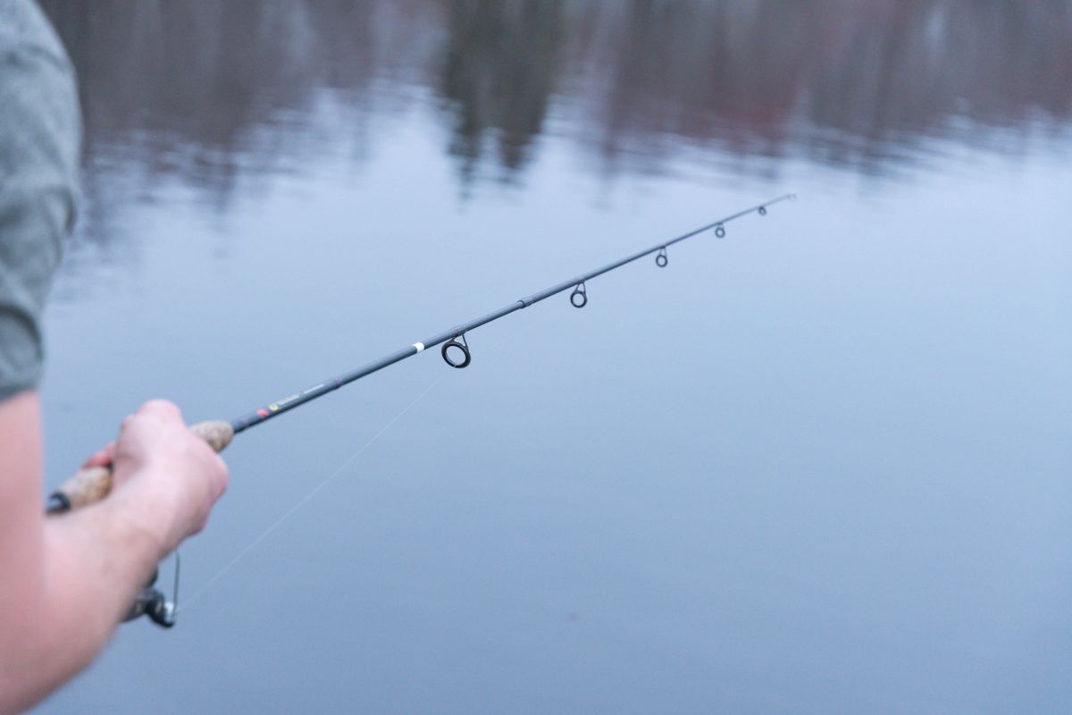 Abu Garcia Revo SX vs Daiwa Tatula