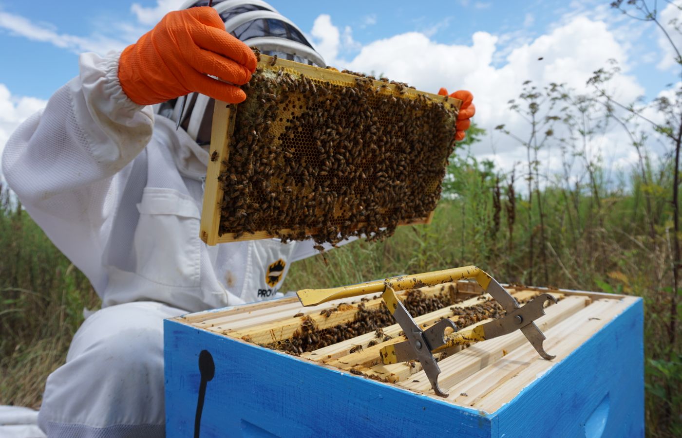 Bee Escape Board for Clearing Honey Supers