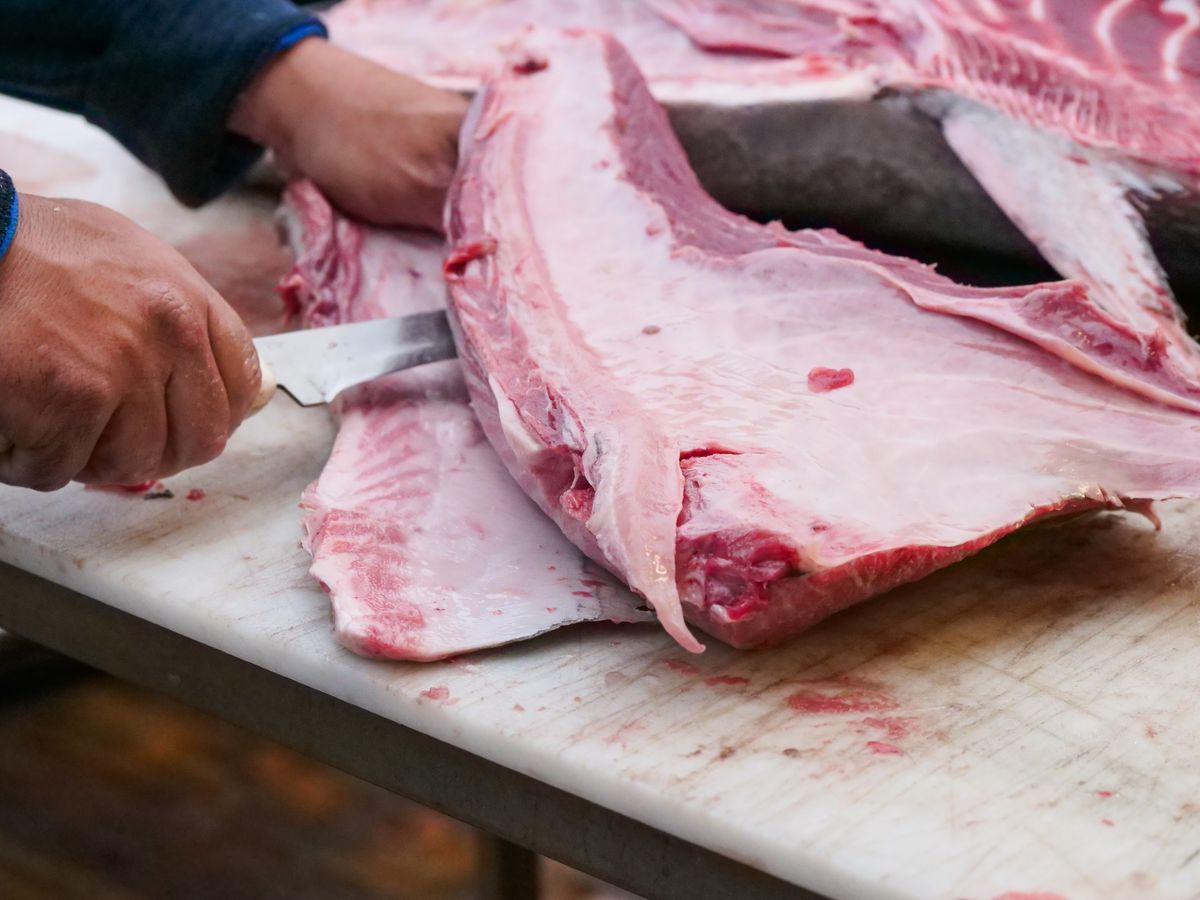 Budget Fillet Knife for Fish