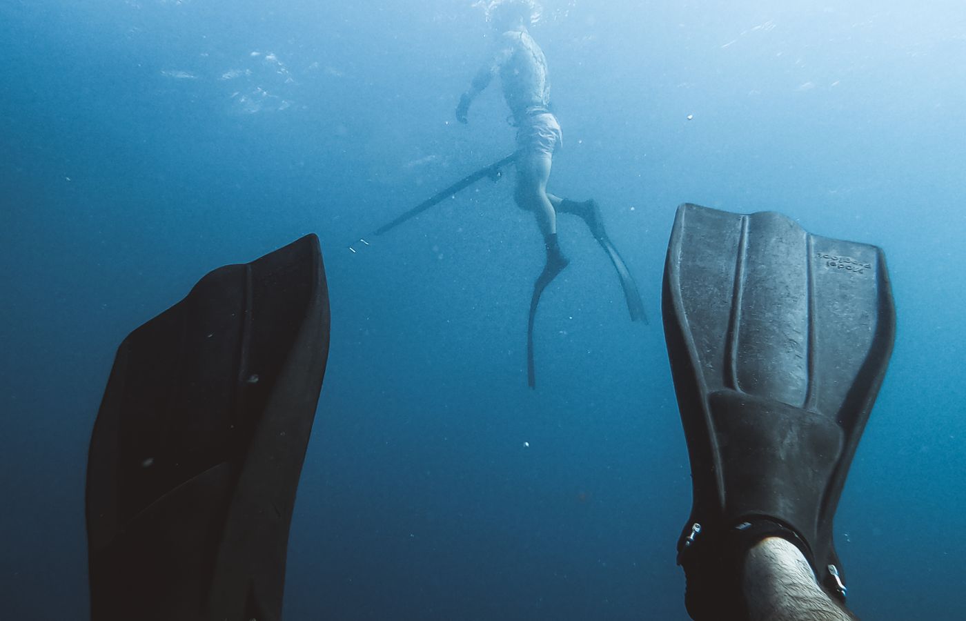 Pole Spear for Reef Spearfishing (Beginner)