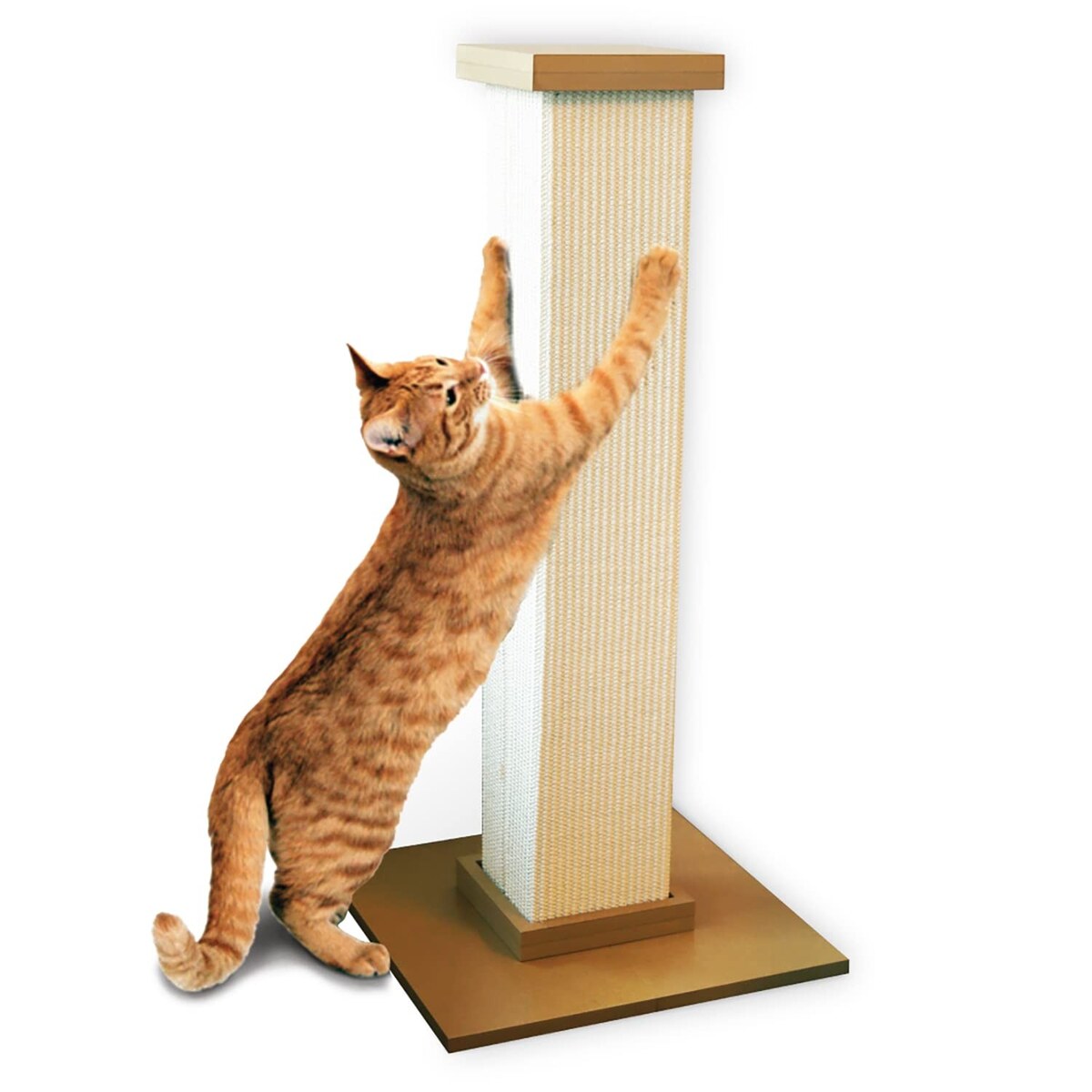 Cat Scratching Post