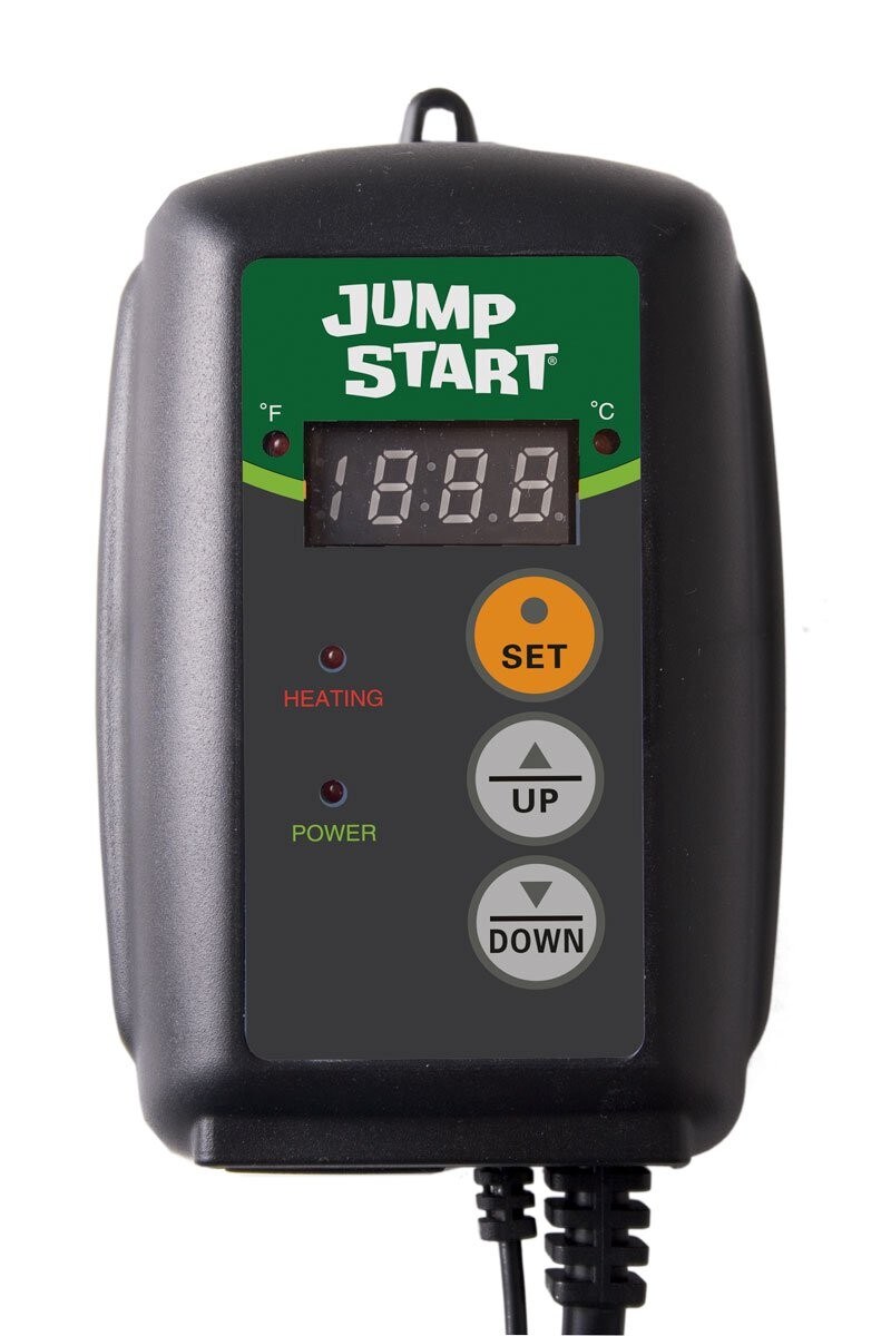 Heat Mat Thermostat for a Leopard Gecko