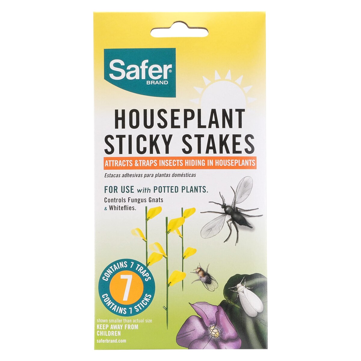 Sticky Traps for Fungus Gnats