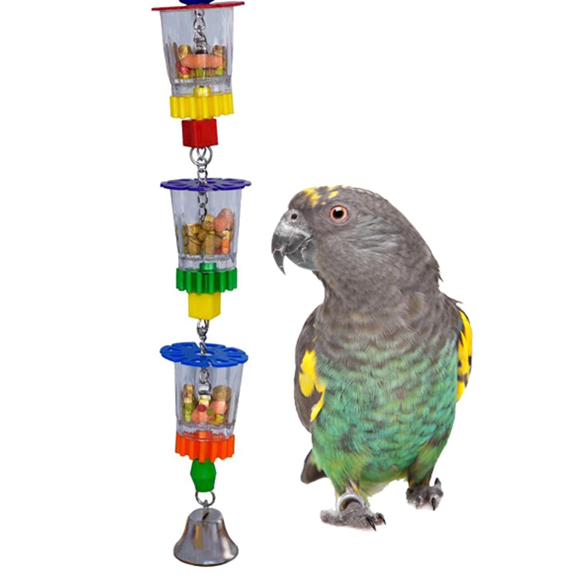 Foraging Toys for Parrots