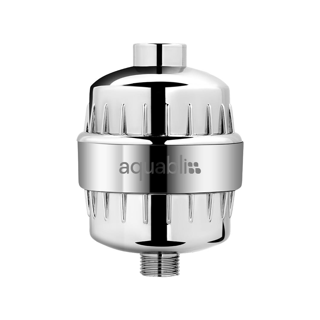 Shower Head Filter