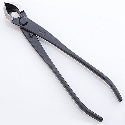 Concave Cutter for a Bonsai Beginner