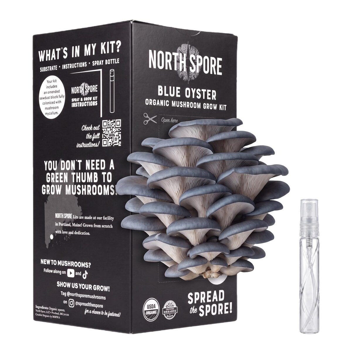Mushroom Growing Kit for Beginners