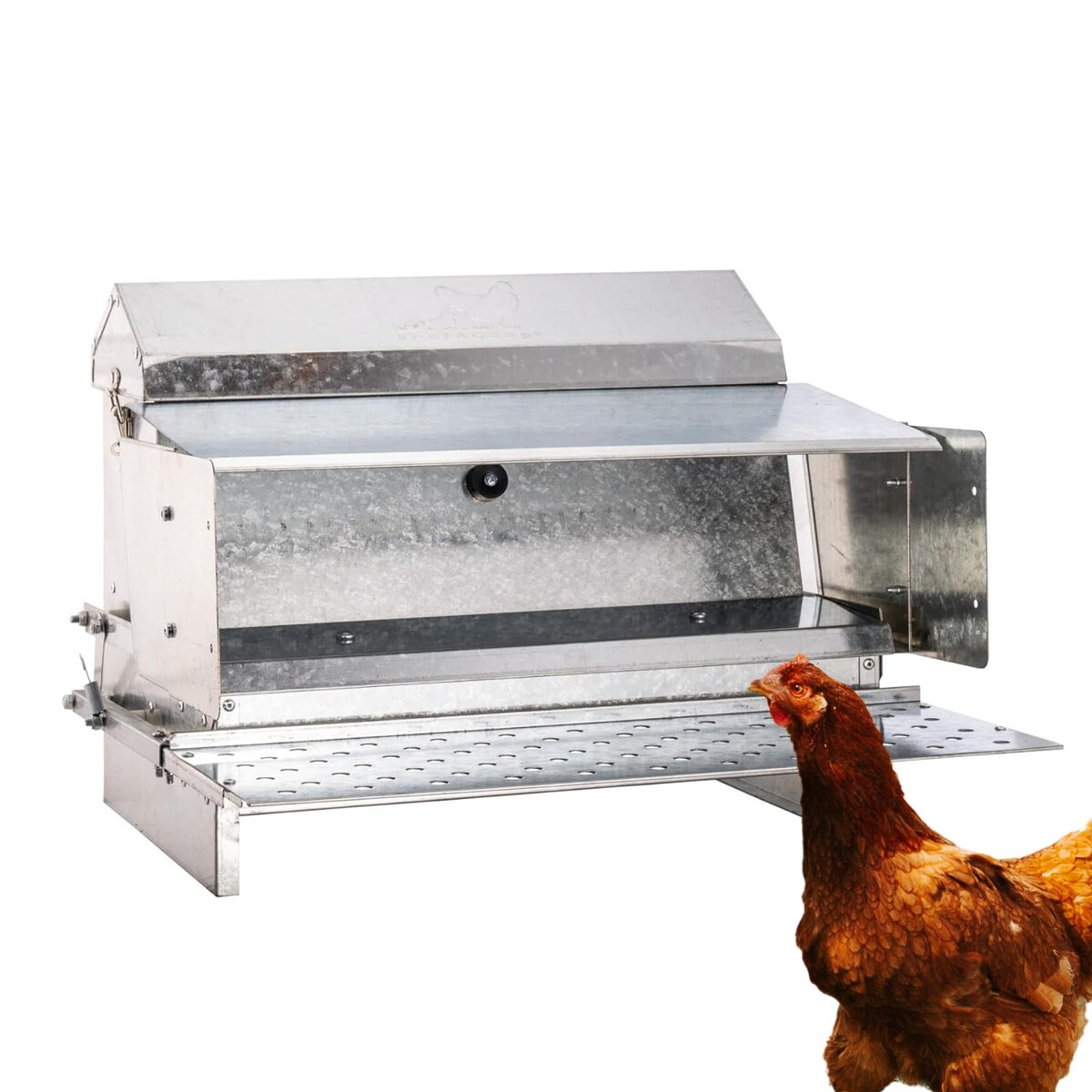 Auto Feeder for Chickens