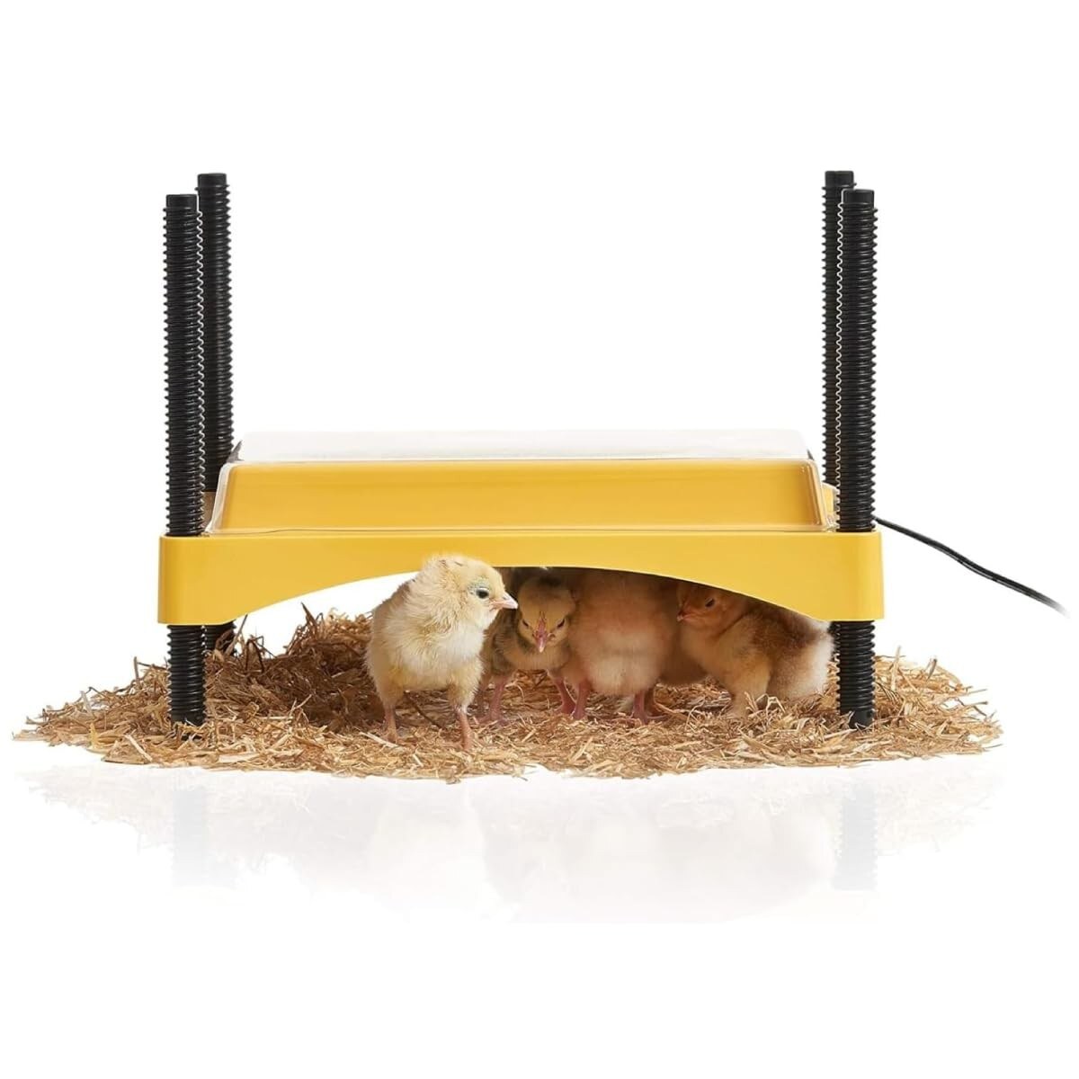 Brooder Plate for Chicks