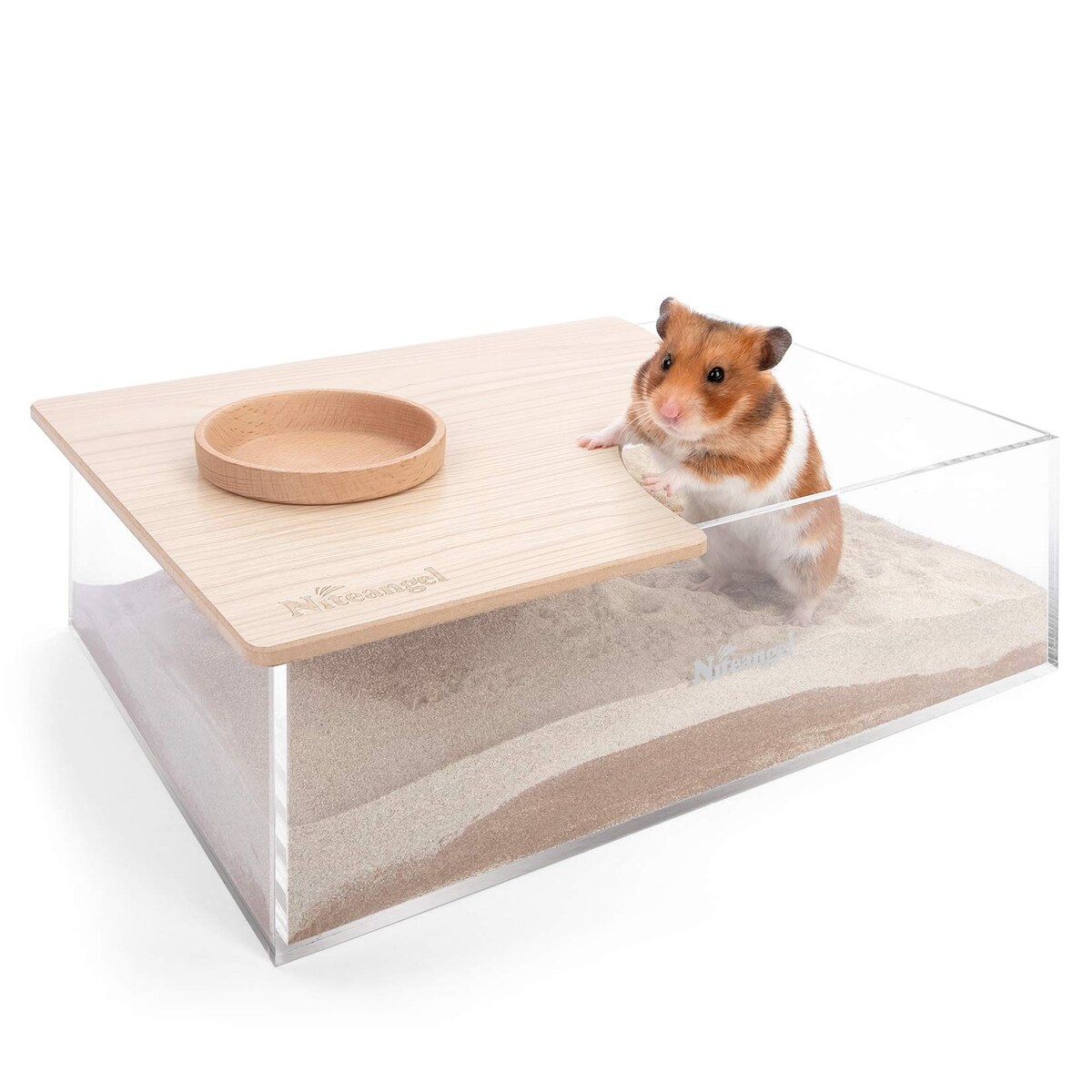 Sand Bath for Hamsters