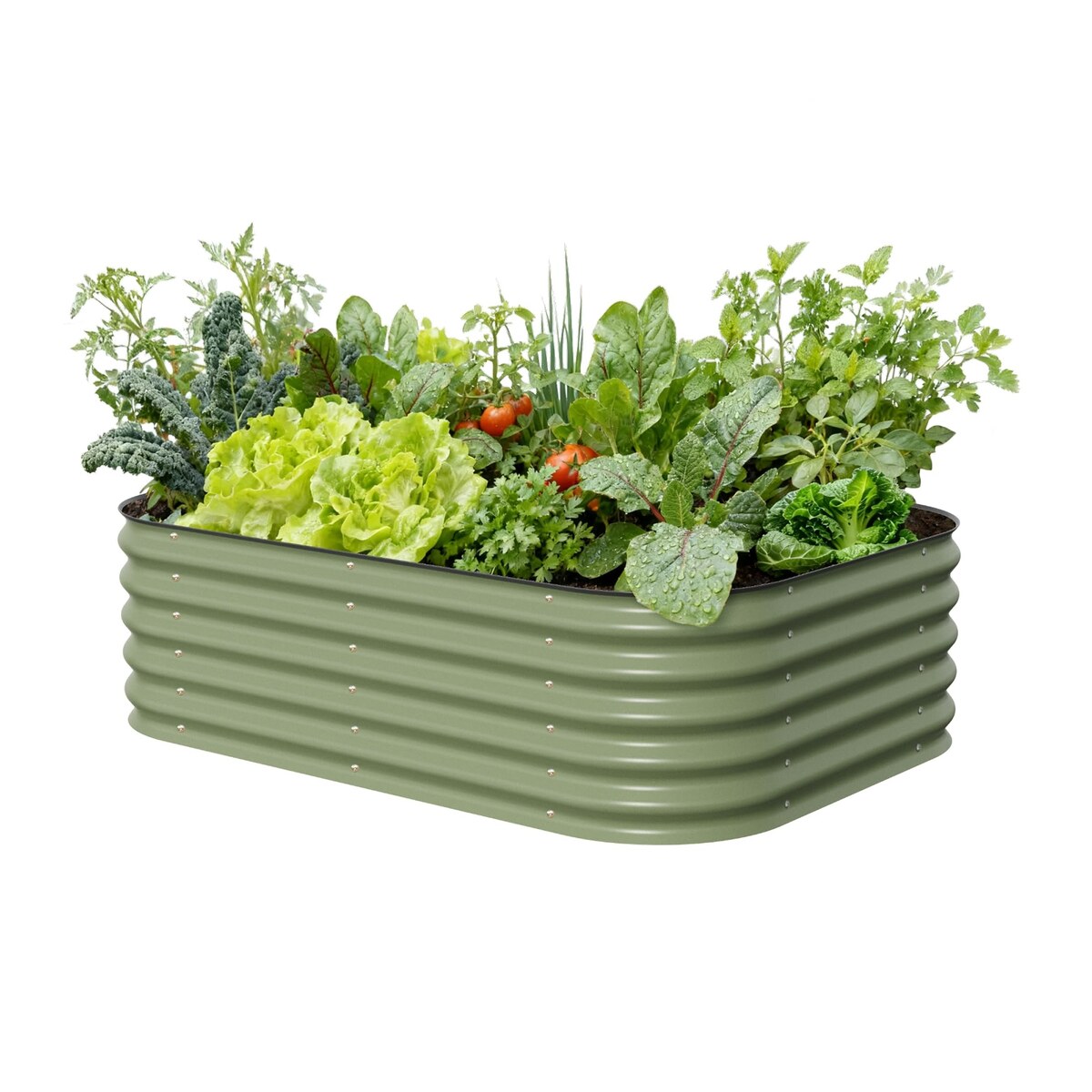 Raised Garden Bed for Vegetables