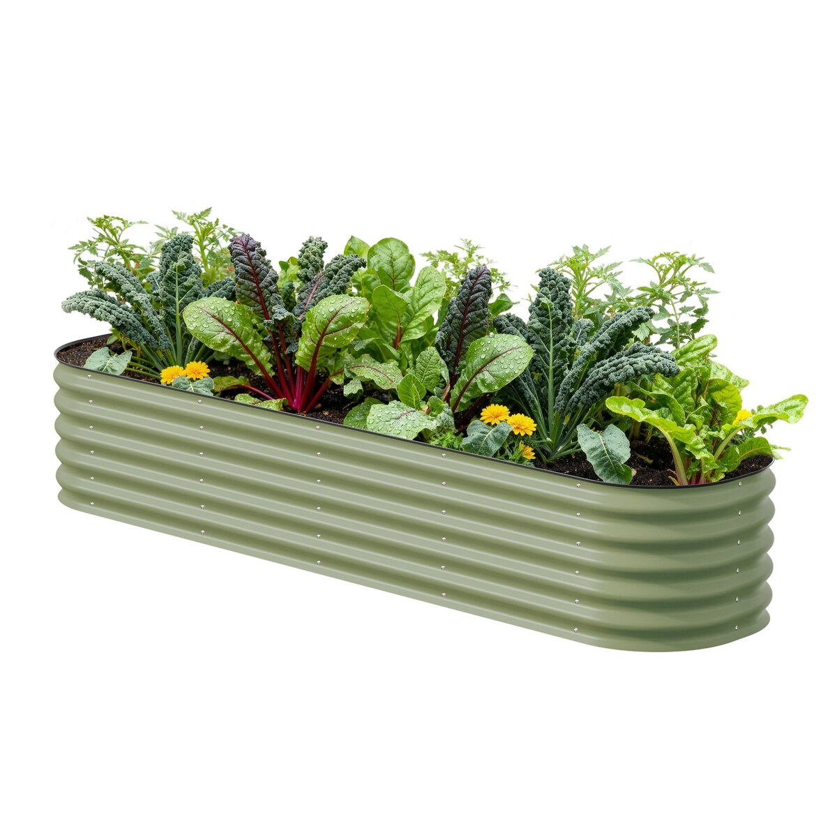 Raised Garden Bed