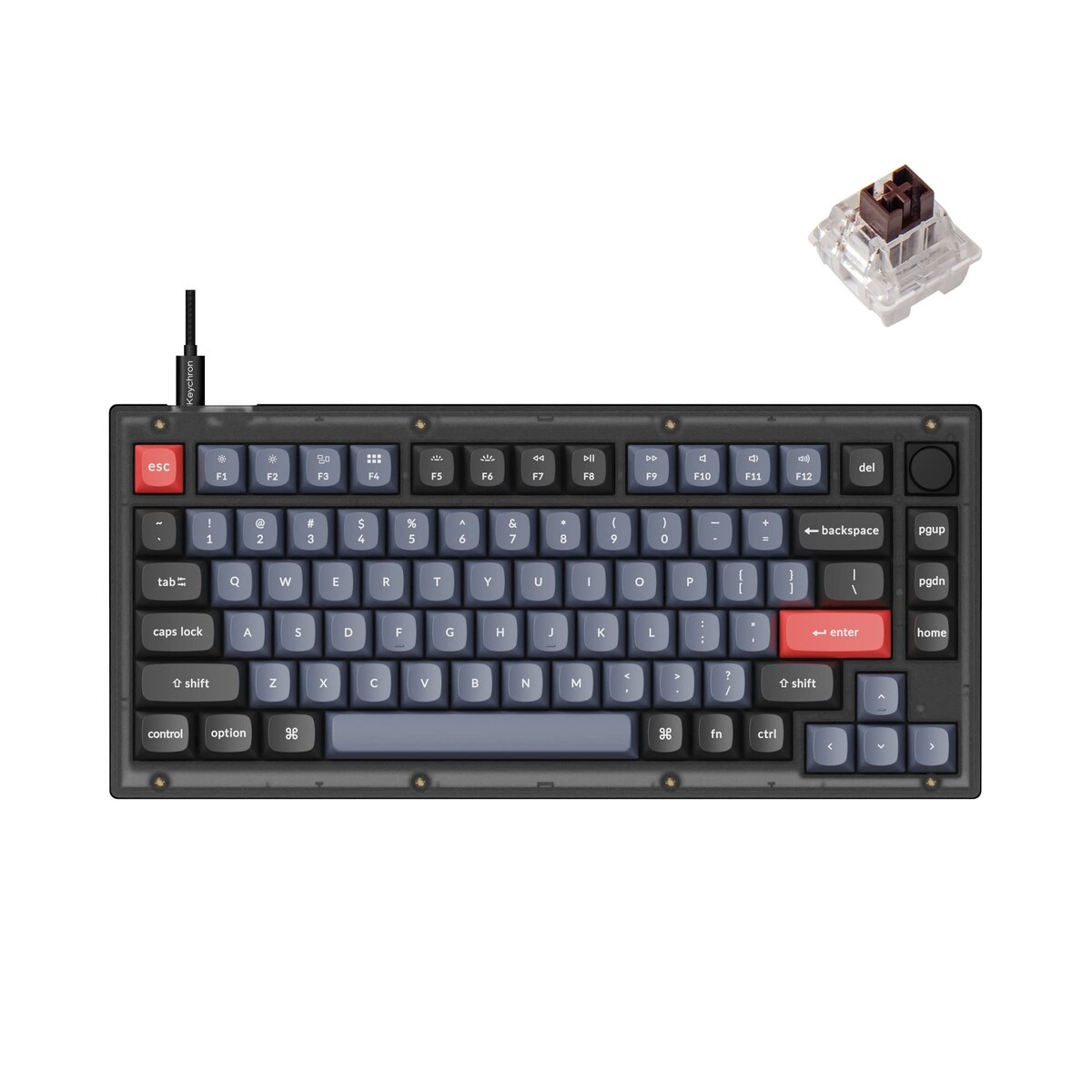 Custom Keyboard Kit for Beginners