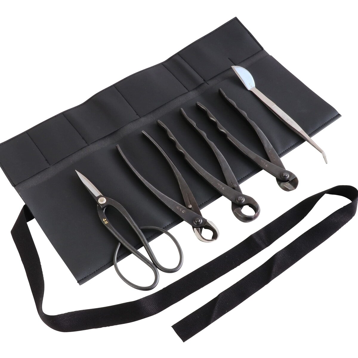 Bonsai Tools for Beginners
