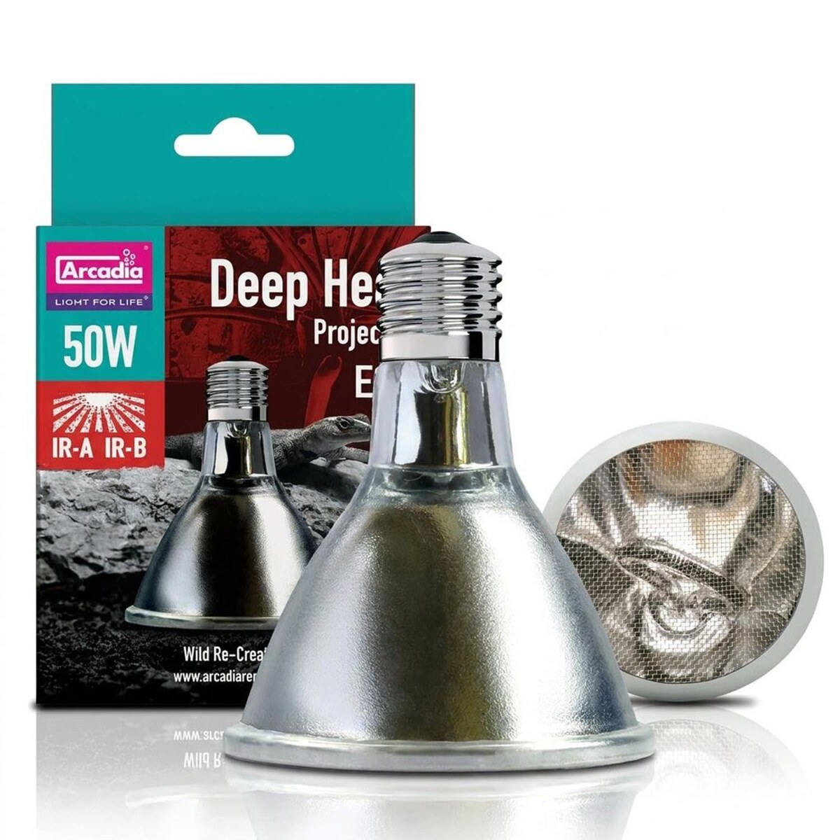 Deep Heat Projector for a Bearded Dragon