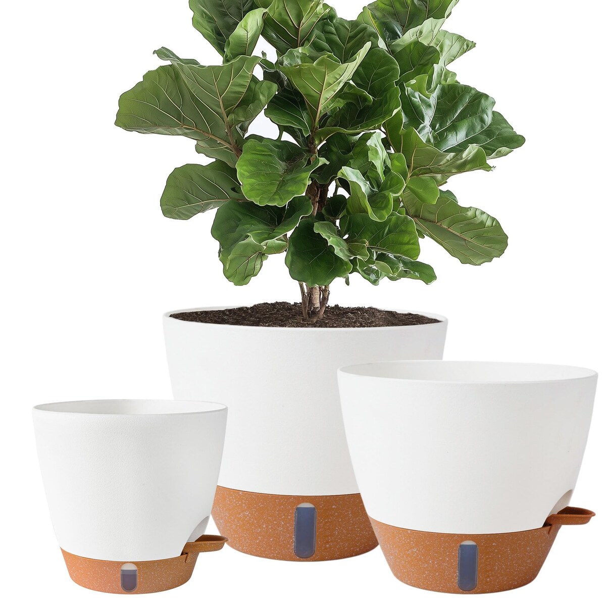 Self-Watering Planter