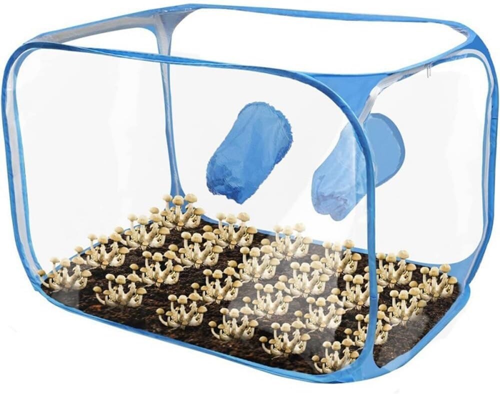 Still Air Box for Mushroom Cultivation